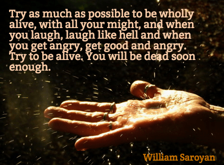 Screen Shot 2017-11-04 at 12.10.38 PM